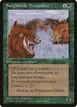 Durkwood Boars #131