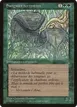 Land Leeches #147