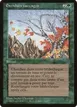Untamed Wilds #163