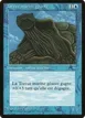 Giant Tortoise #34