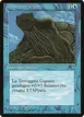 Giant Tortoise #27
