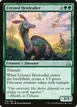 Crested Herdcaller #126