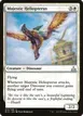 Majestic Heliopterus #13