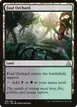 Foul Orchard #188