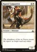 Raptor Companion #19