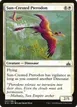 Sun-Crested Pterodon #27