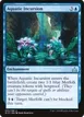 Aquatic Incursion #32