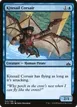Kitesail Corsair #41