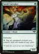Saruli Caretaker #139