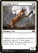 Prowling Caracal #17