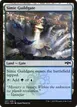 Simic Guildgate #257