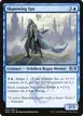 Skatewing Spy #52