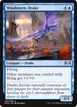 Windstorm Drake #60