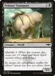 Debtors' Transport #72