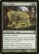 Bear Umbra #177