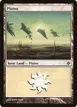 Plains #231