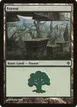 Forest #245