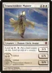 Transcendent Master #51