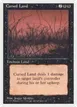 Cursed Land #17