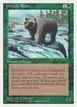 Grizzly Bears #41