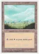 Plains #53