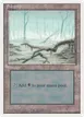 Swamp #57