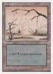 Swamp #58