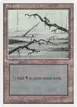 Swamp #59