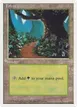 Forest #64