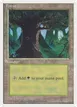 Forest #65