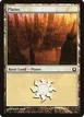 Plains #250