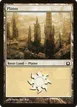 Plains #251