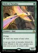 Birds of Paradise #133