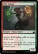 Wild Cantor #239