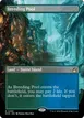 Breeding Pool #293