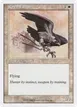 Royal Falcon #8