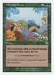 Alluring Scent #124