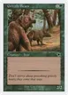Grizzly Bears #129