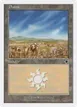 Plains #155