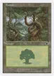 Forest #170