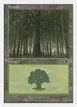 Forest #172