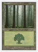 Forest #173