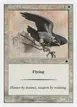 Royal Falcon #24