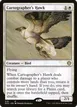 Cartographer's Hawk #10