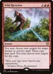 Wild Ricochet #169