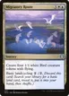 Migratory Route #237