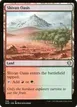 Shivan Oasis #318
