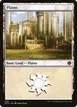 Plains #335