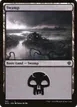 Swamp #341