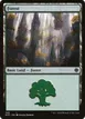 Forest #349